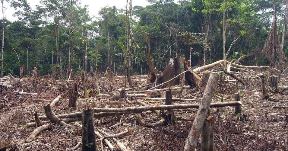 STUDENT BLOG: Deforestation in Cambodia